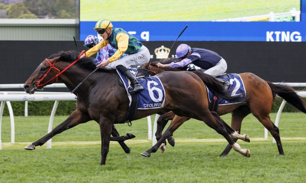 科莫队在法 科莫队在法