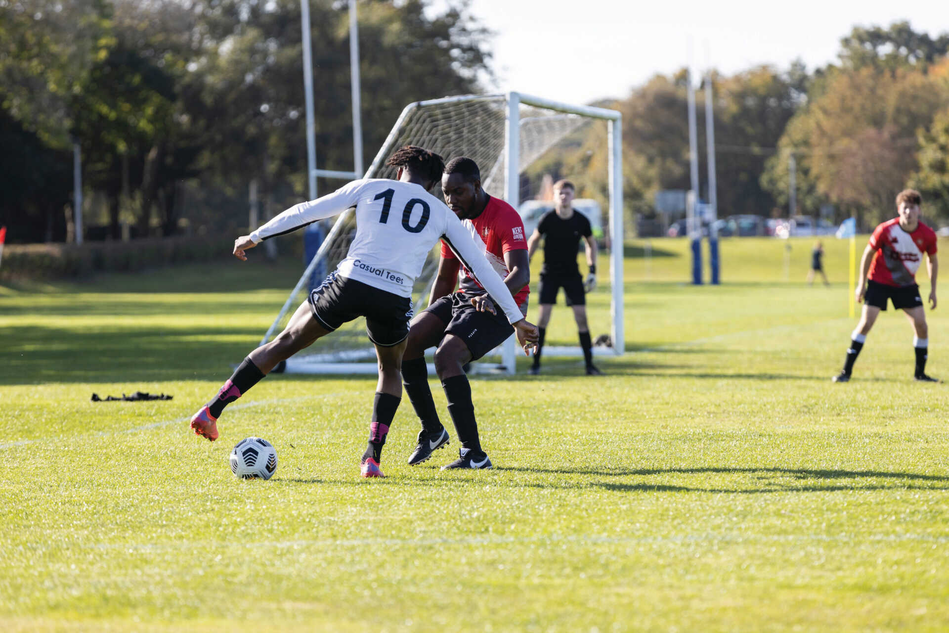 这篇文章希 这篇文章希