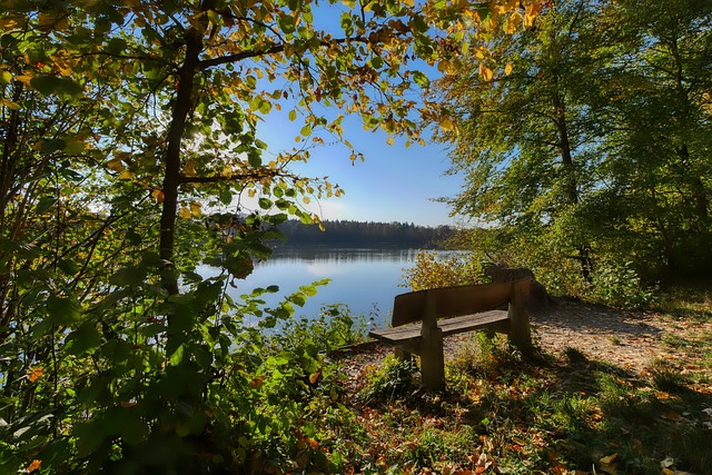 本文将围绕 本文将围绕