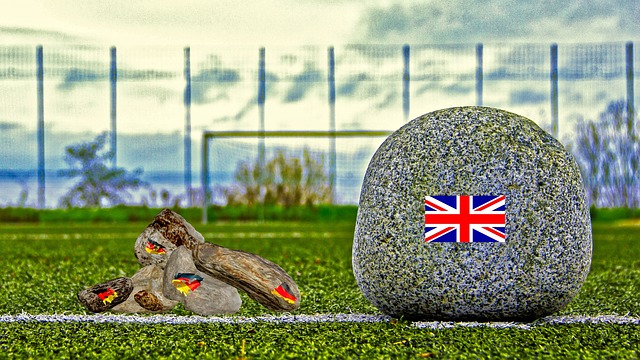 替代的作用 替代的作用