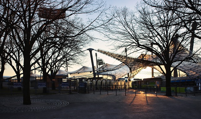 的韧性和团 的韧性和团