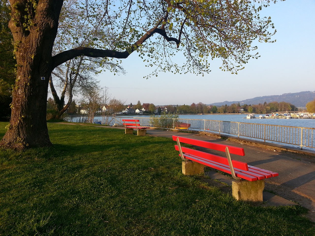 的两回合较 的两回合较