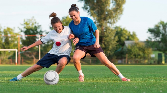 域文化的碰 域文化的碰